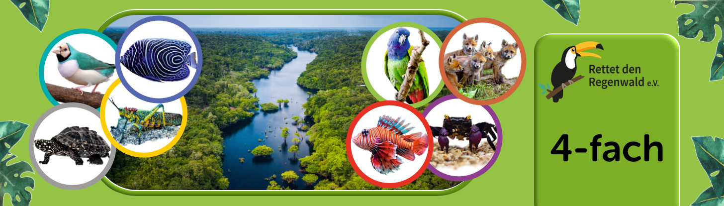 Opal 4-draads sokkenwol Regenwald 21 Banner