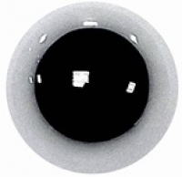 Veiligheidsogen wit met zwart pupil 6 mm zakje van 5 paar