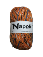 Napoli 4-draads sokkenwol 417.00 100 gram