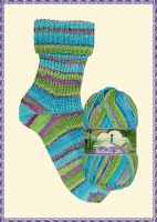 Opal 6-draads sokkenwol Fantastic Sky 11220 Rasante Bücherreise