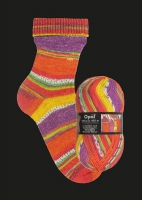 Harmonievest Breipakket 4-draads Opal sokkenwol maat 36 - 40 1434