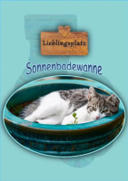 Opal 4-draads sokkenwol Lieblingsplatz 11460 Sonnenbadewanne