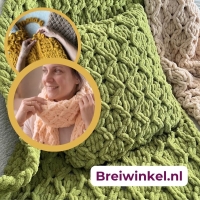 Workshop zondag 15-11-2026  Handwerkbeurs - Heerenveen